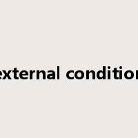 external condition是什么意思