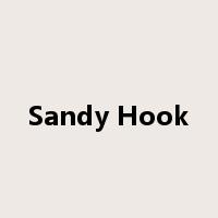 Sandy Hook是什么意思