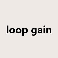loop gain是什么意思