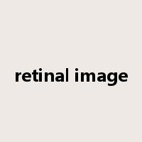 retinal image是什么意思