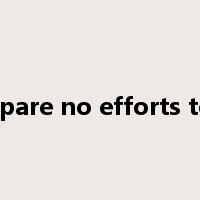 spare no efforts to是什么意思