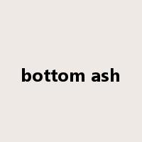bottom ash是什么意思