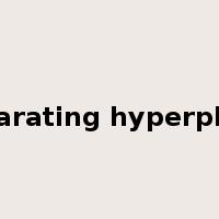 separating hyperplane是什么意思