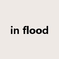 in flood是什么意思