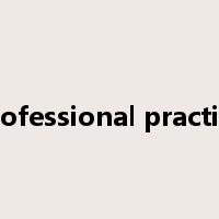 professional practice是什么意思