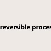irreversible process是什么意思