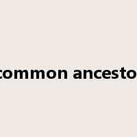 common ancestor是什么意思
