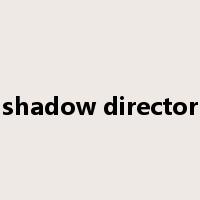 shadow director是什么意思