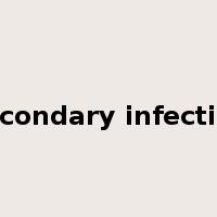 secondary infection是什么意思