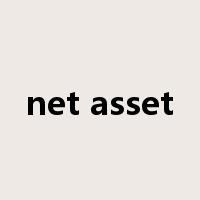 net asset是什么意思