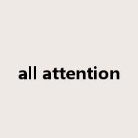 all attention是什么意思