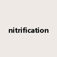 nitrification是什么意思