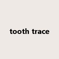 tooth trace是什么意思