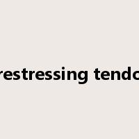 prestressing tendon是什么意思