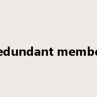 redundant member是什么意思