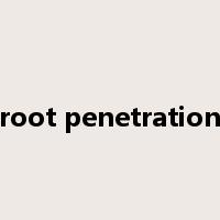root penetration是什么意思