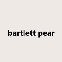 bartlett pear是什么意思