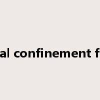 Inertial confinement fusion是什么意思