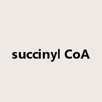 succinyl CoA是什么意思