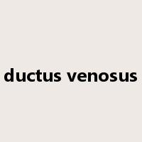 ductus venosus是什么意思