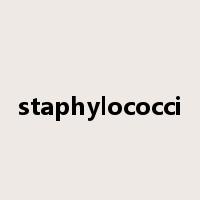 staphylococci是什么意思