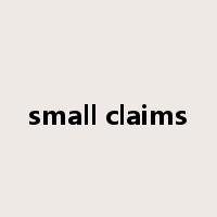 small claims是什么意思