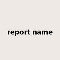 report name是什么意思
