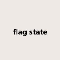 flag state是什么意思