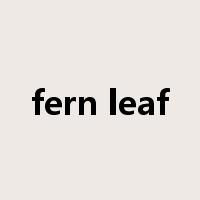 fern leaf是什么意思