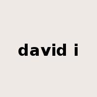 david i是什么意思