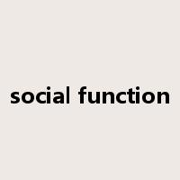 social function是什么意思