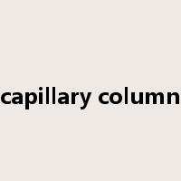 capillary column是什么意思