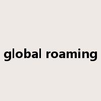 global roaming是什么意思
