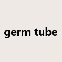 germ tube是什么意思