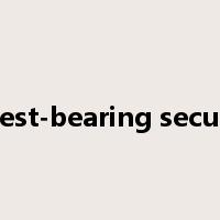 interest-bearing securities是什么意思