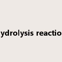 hydrolysis reaction是什么意思
