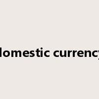 domestic currency是什么意思