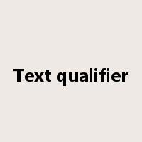 Text qualifier是什么意思