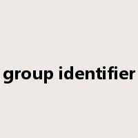 group identifier是什么意思