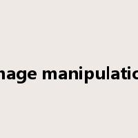 image manipulation是什么意思