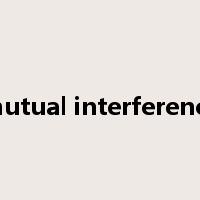 mutual interference是什么意思