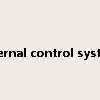 internal control system是什么意思