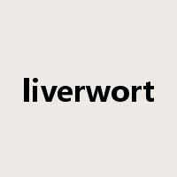 liverwort是什么意思