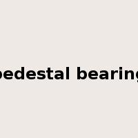 pedestal bearing是什么意思