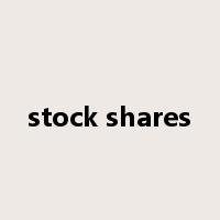 stock shares是什么意思