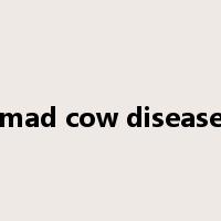 mad cow disease是什么意思