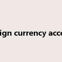 foreign currency account是什么意思
