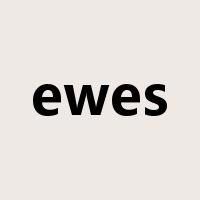 ewes是什么意思