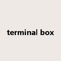 terminal box是什么意思