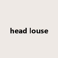 head louse是什么意思